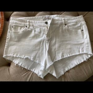 Torrid White Jean Shorts 18